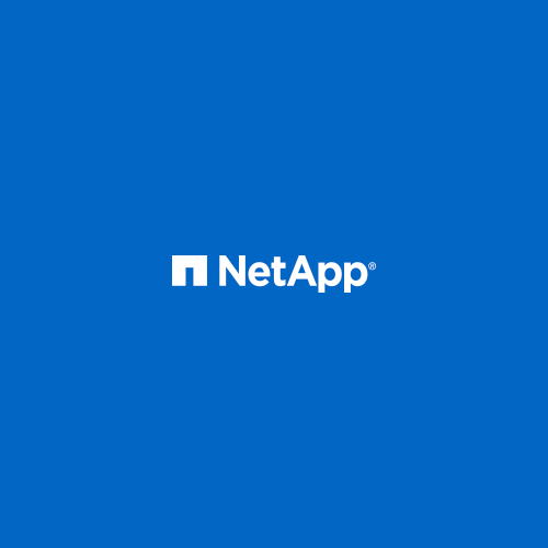 ITGLOBAL.COM Recibió un Premio NetApp por los Resultados Financieros durante el año 2019